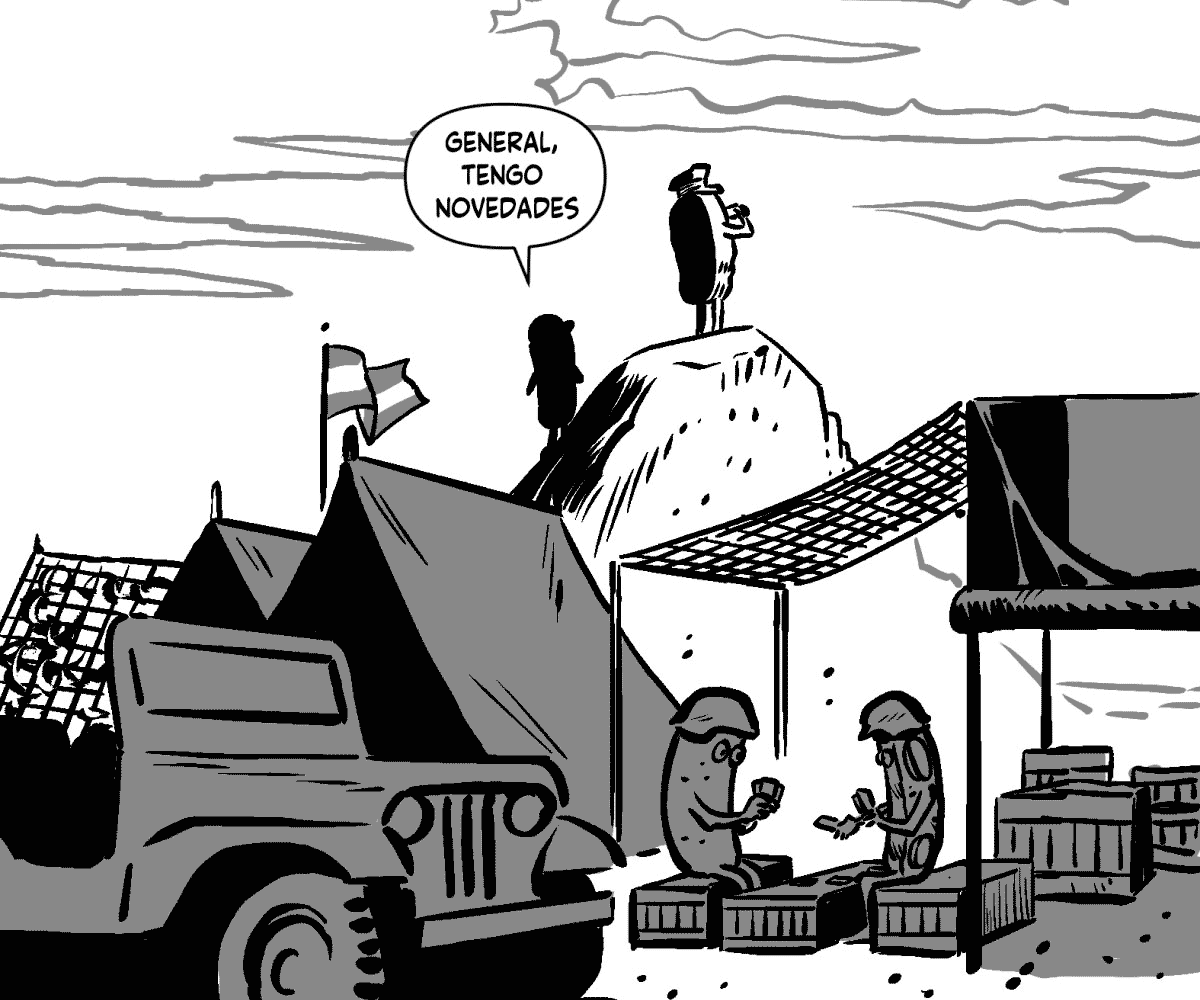 Un bife de chorizo vestido de militar está de espaldas mirando el horizonte en un campo. GENERAL, TENGO NOVEDADES.